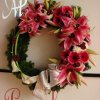 primula 5